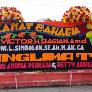 Selamat 43
