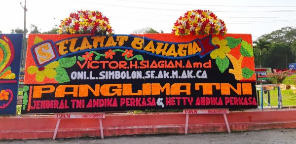Selamat 43